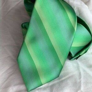Steve Harvey Celebrity Edition Mens Tie Green